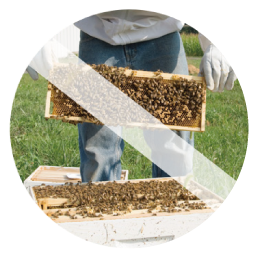 �������g�p���Ȃ�