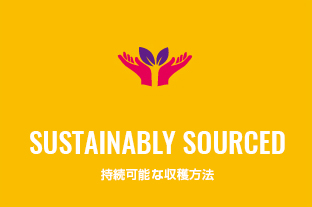 �����\�Ȏ��n���@