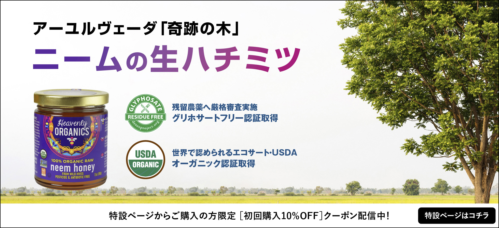 �L�@���I���j�[���n�j�[