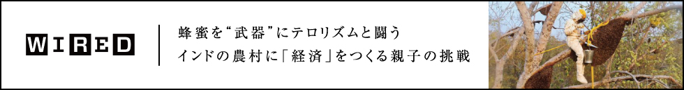 wired�I�����g����h�Ƀe�����Y���Ɠ����C���h�̔_���Ɂu�o�ρv������e�q�̒���