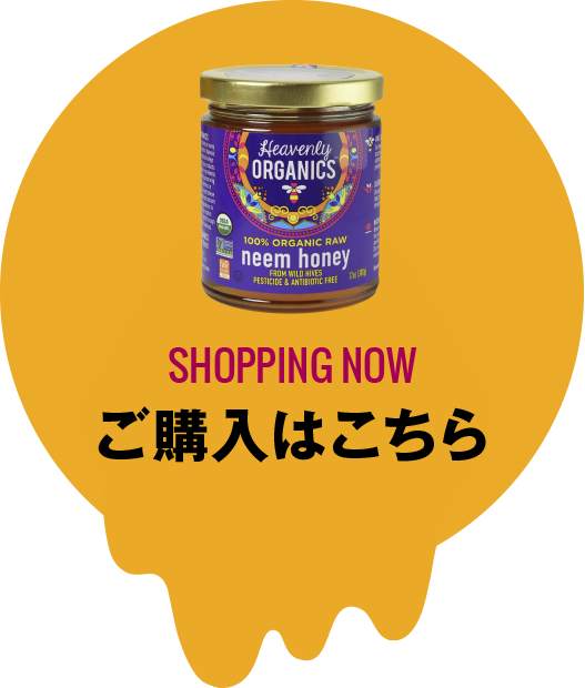 ご購入はこちら