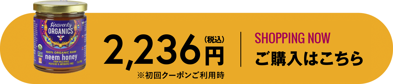 ご購入はこちら